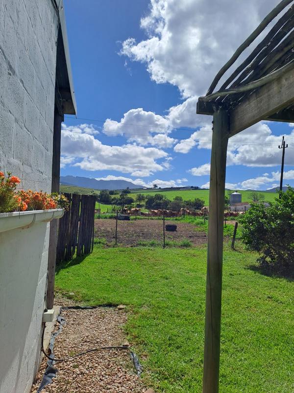 To Let 1 Bedroom Property for Rent in Friemersheim Western Cape